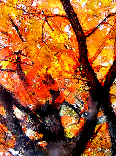 Tu m’inondes de tes belles ondes