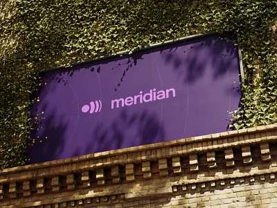 Meridian . Brand Identity Design brand creation brand identity branding design graphic design illustration logo logo design vector