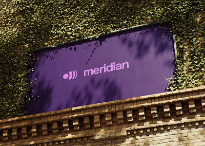 Meridian . Brand Identity Design brand creation brand identity branding design graphic design illustration logo logo design vector