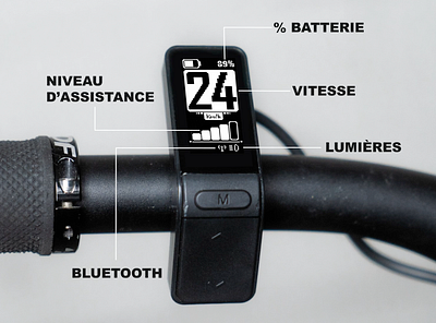 Explainer video ads animation animation explainer video game animation logo animation lottie motion graphics