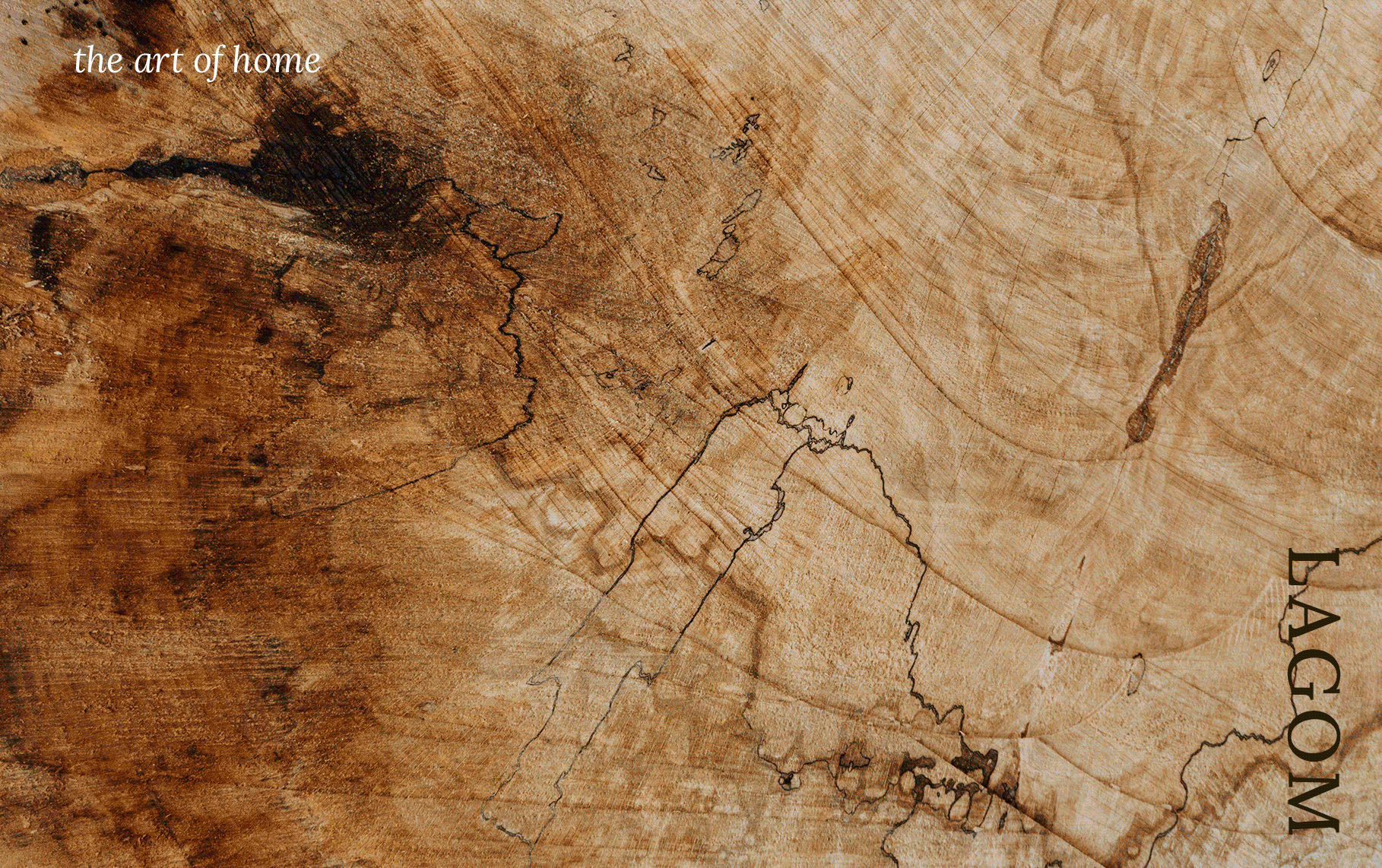 Home decor store branding brand design branding graphic design logo logo gesign logotype packaging design visual identity