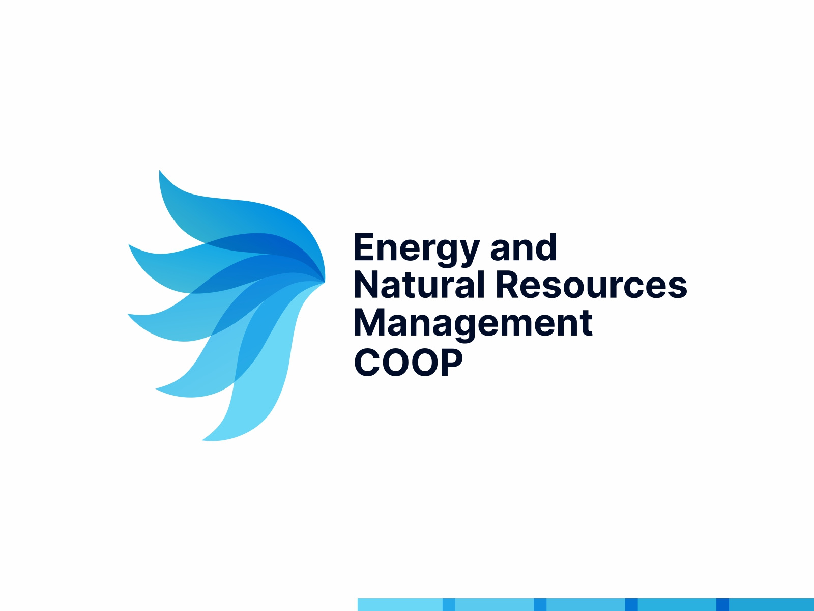 Energy and Natural Resources Management logo design air alternative energy blends coop dynamic logo eagle eagle head economy energy fuels gas logo logo design management ministry modern logo natural resources resources management state water