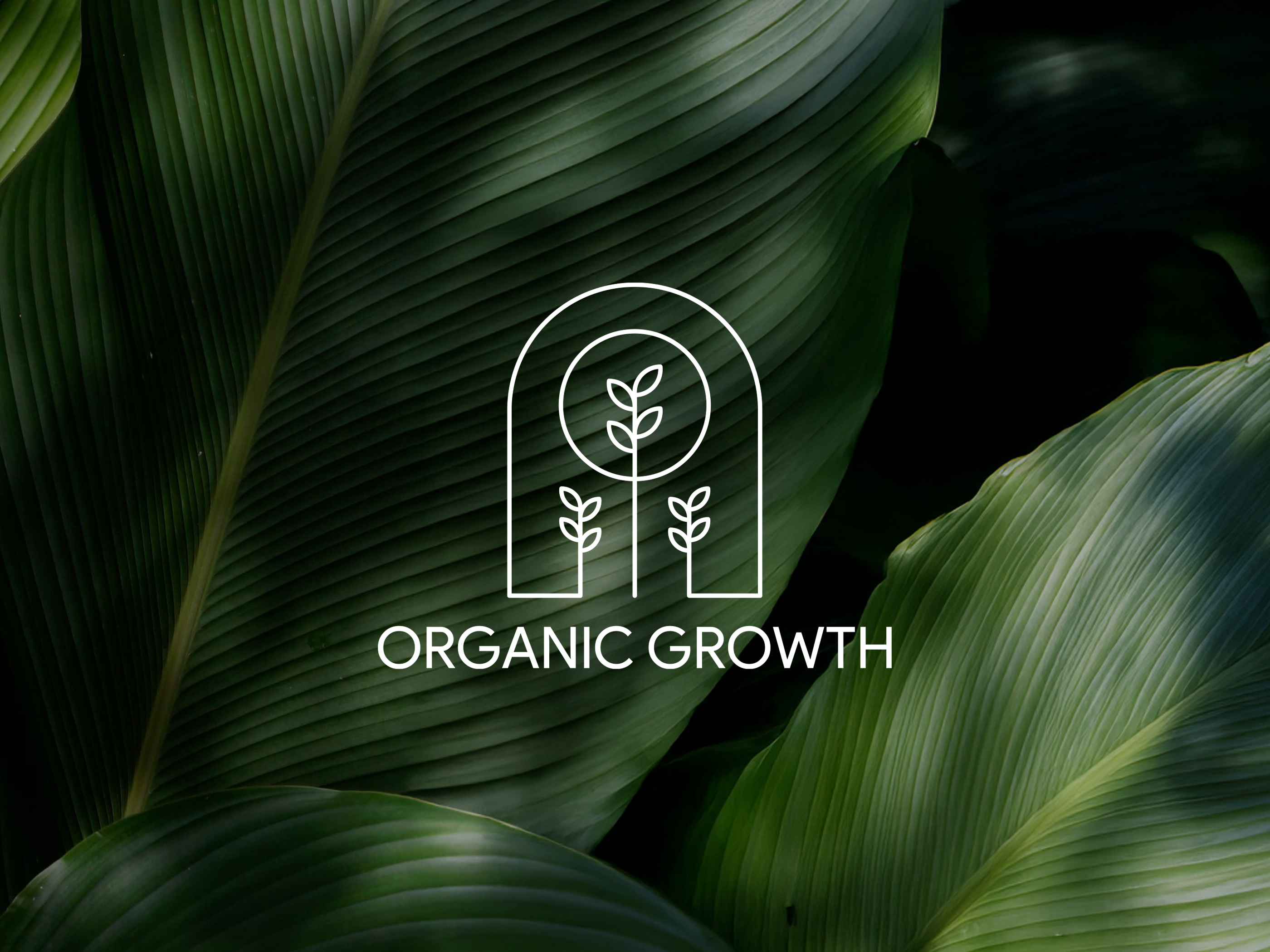 Organic Growth Logo Design, Brand Identity brand brand design brand identity branding design flat icon line art lineart logo logo design logodesign logomark minimal modern organic organic logo rebranding simple visual identity