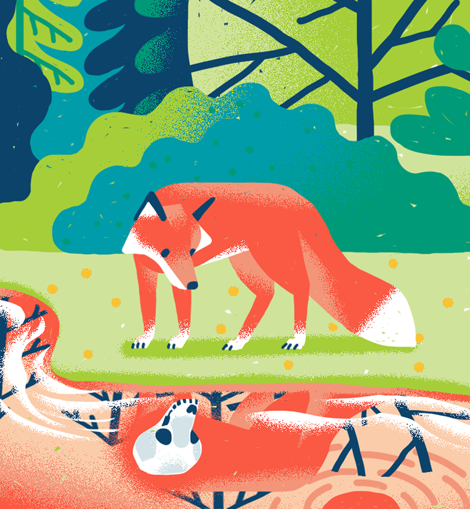 Nature-based Solutions for IUCN animal climate change editorial environment global warming illustration iucn jlnvasiljevic nature