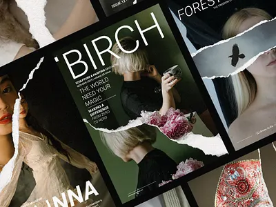 Torn Paper Magazine & Posters