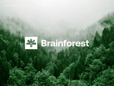 Logo for the educational platform brand book brand visual branding education logo logo book logotype visual identity