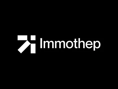 Immothep Concept — ​​​​​​​Brand Strategy agence nantes brand branding design graphic design identity illustration logo ui vector
