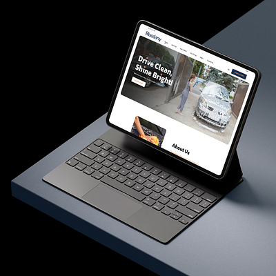 Bluedany - Wash and Car Detailing agency bluedany branding car wash clean cleaning company design detailing landing page logo modern quality real time update service uiux vehicle wordpress