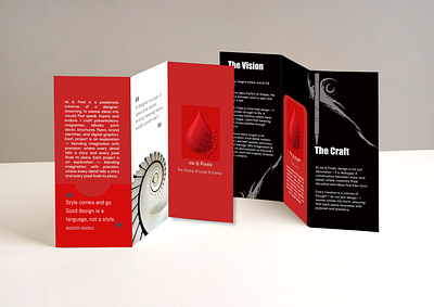 Trifold Brochure branding graphic design