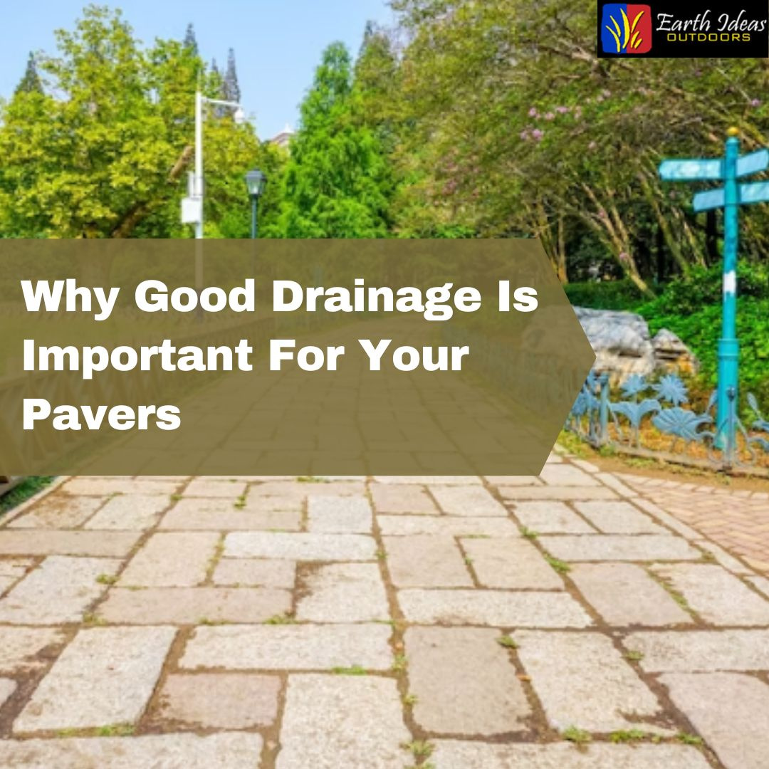 6 Reasons Why a Good Drainage is Important for your Pavers by Earth