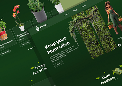 Verdiya branding design graphic design shop ui