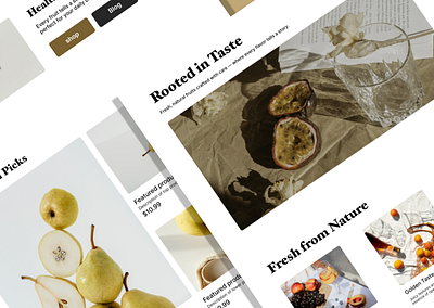 Roota branding design graphic design shop ui