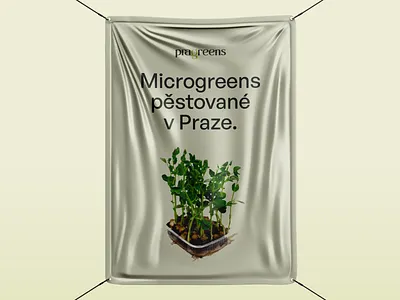 Pragreens — Outdoor Banner Design banner design brand experience creative design creative direction eco eco friendly farm fresh fresh greens green living greens herbs local farm microgreens ooh organic food ready to eat urban farming visual identity yellow hyphen