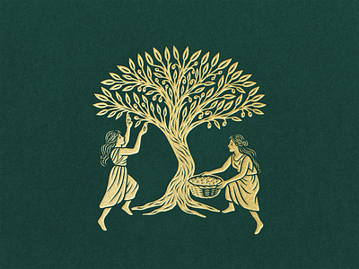 Solar d’Azeiteira · Harvest Under The Olive Tree boutique hotel brand identity brand illustration engraved style feminine brand gold illustration graphic design heritage brand hospitality branding illustration olive harvest olive oil olive tree rural tourism serra da lousã solar dazeiteira visual storytelling