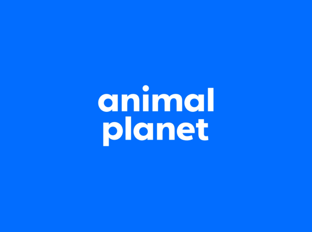 Animal Planet Text Animation 2d animal animation branding dynamic fun identity intro logo motion motion graphics opener planet tv typeface typography wild