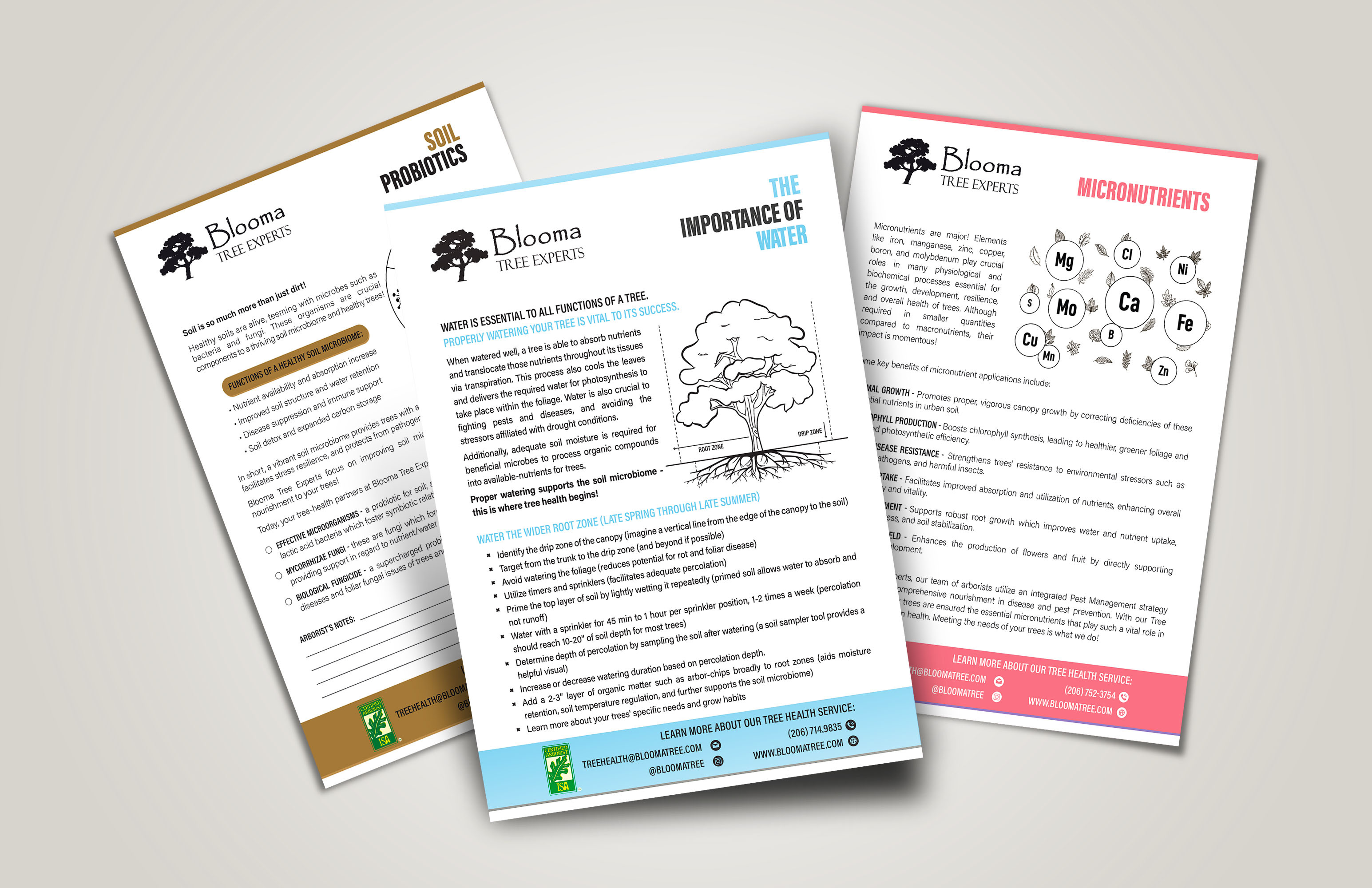 Eco-Inspired Poster Set for Blooma Tree adobe illustrator artwork brand marketing branding brochure business branding corporateidentity creative poster creatives eco friendly flyer graphic design illustration layout design leaflet marketing material minimal design poster design print design visual design