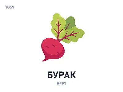 Бурак / Beet belarus belarusian language daily flat icon illustration vector word