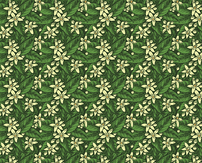 A Pattern of Orange Blossoms for Tissue Boxes classic illustration pattern pen and ink vintage woodcut