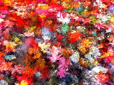 D’une intériorité océane