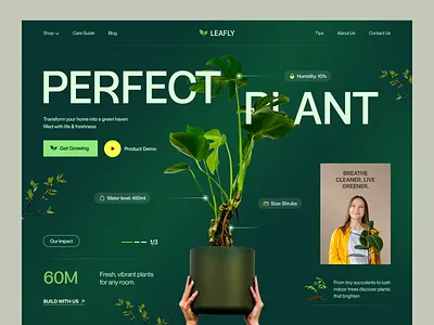 Leafly - Plant Shop Web Design better world branding design ecommerce garden gg house plant indoor plants landing page landingpage nature plant shop plant store succulent tree ux web design webdesign website design website designer