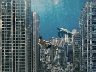 summer album cover book cover collage cover design design digital art graphic design illustration 그래픽디자인 꼴라주 꼴라쥬 콜라주 콜라쥬