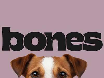 Bones logo + illustrations branding design dog graphic design illustration logo pet vet visual identity wordmark