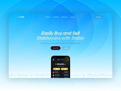 Stably Hero — Crypto Landing Page v2 landing page