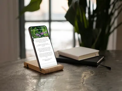 About us for a Mobile App Design about branding design graphic design illustration mobile app ui ui design uiux user interface design