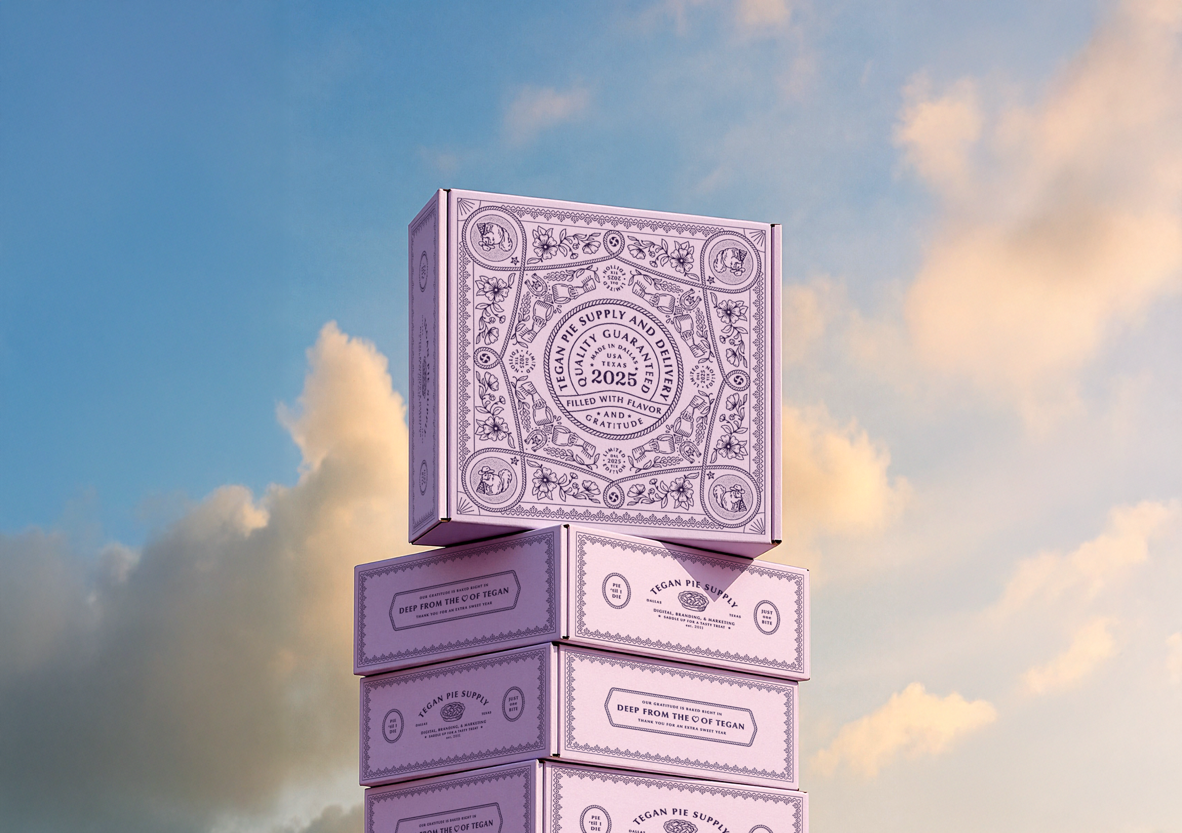 Tegan Year in Review Pie Box Design