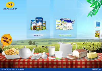 Millac Food Website Design branding butter food graphic design health logo milk ui website