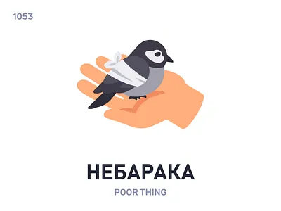 Небарáка / Poor thing belarus belarusian language daily flat icon illustration vector word