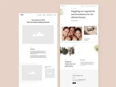 Exploratory Wireframes & Page Architecture branding graphic design ui user experience user interface ux wireframe design