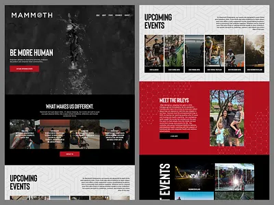 Squarespace Full Design & Development | Mammoth design squarespace web design web develop