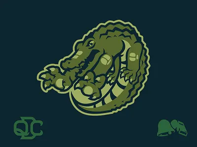 Queensland Drop Crocs australia brand branding crocodile design graphic design illustration logo queensland sports