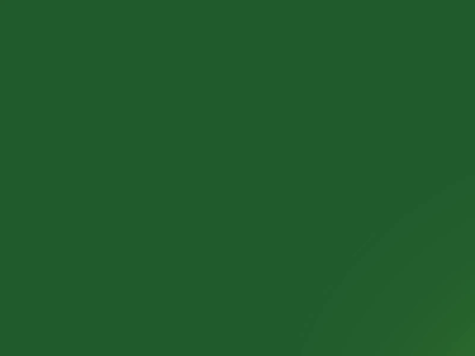 Example of Our New Logo Revealing