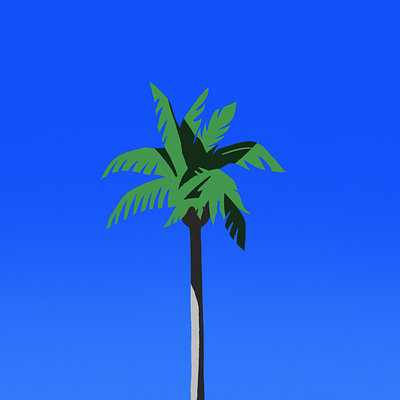 Palm branding city design graphic design illustration nature poster