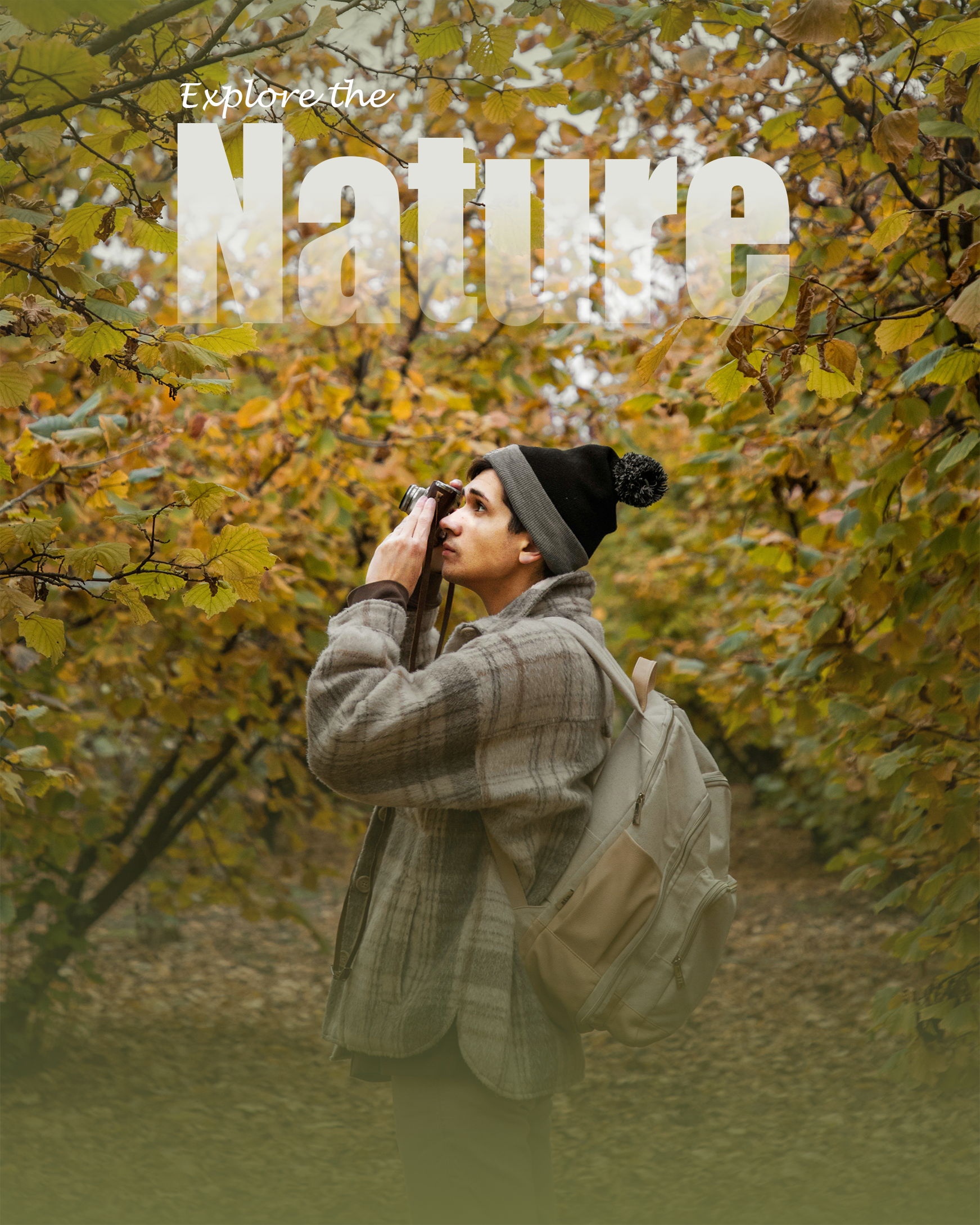 Example of Aesthetic Social Media Post