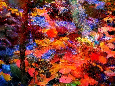 « Là où je serais toujours heureux