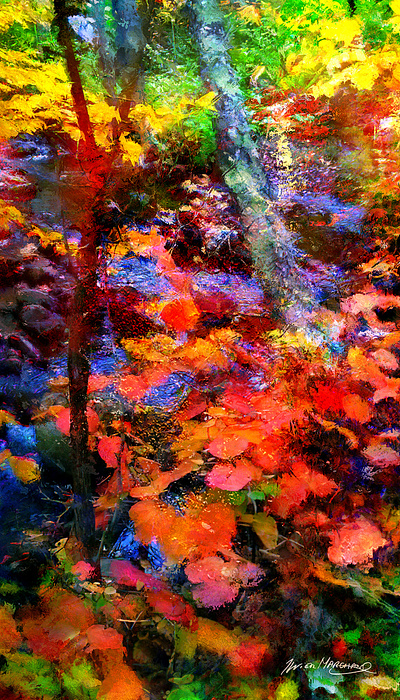 « Là où je serais toujours heureux