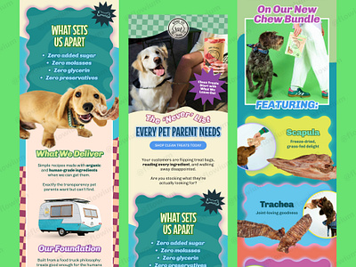 Email Design for a Pet Treats and Pet Lifestyle Brand email email design email marketing email template graphic design newsletter newsletter design