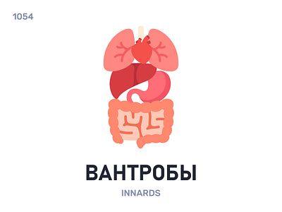 Вантрóбы / Innards belarus belarusian language daily flat icon illustration vector word