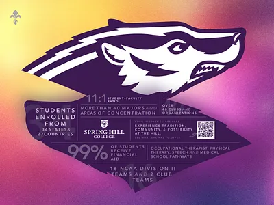 Fall '25 Badger Quick Facts: Recruitment Collateral collateral college content content flow design diecut handout facts sheet graphic design higher education illustraiton print print collateral print design recruitment collateral recruitment piece