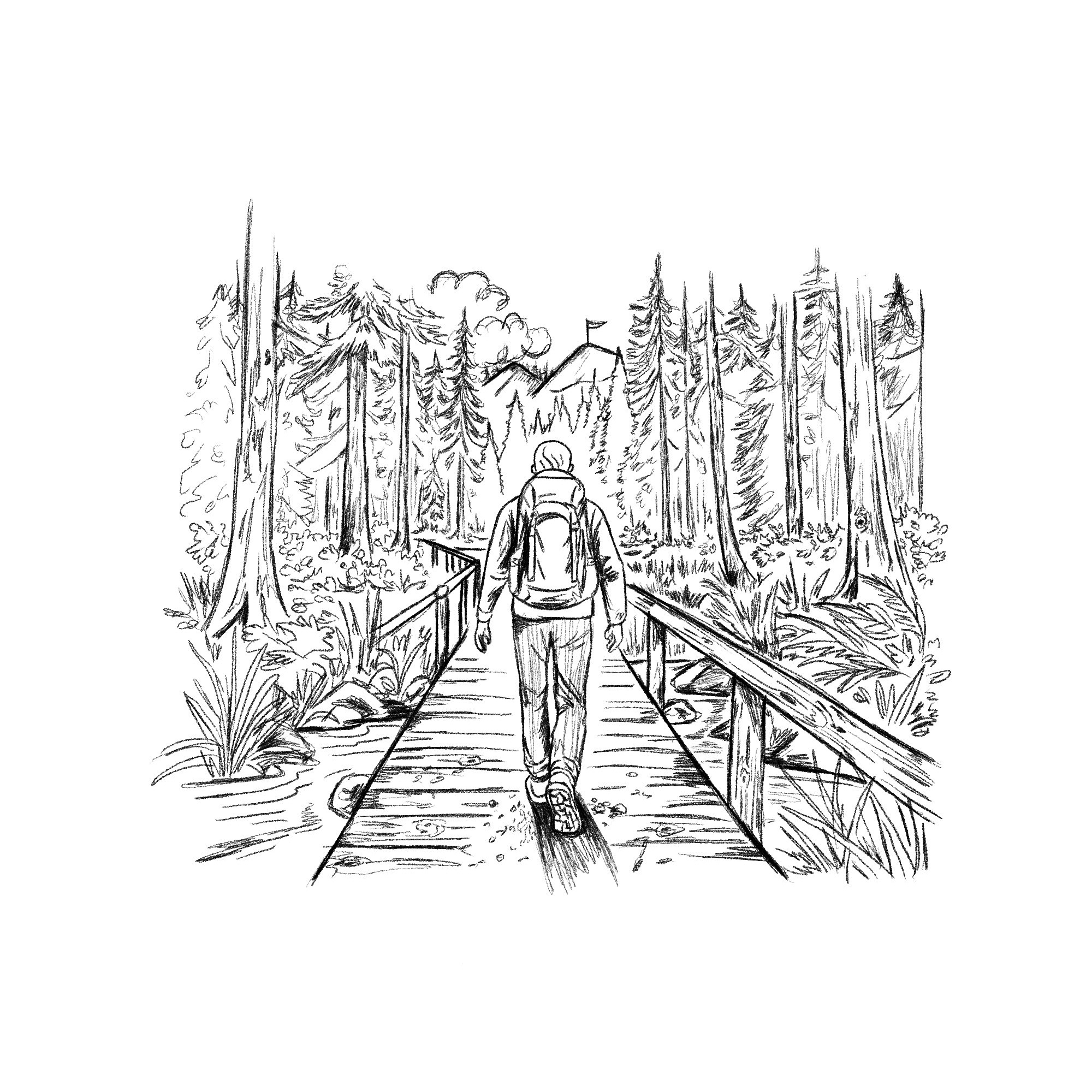Pencil Sketch of Hiker Wandering advernture back pack bridge concept drawing forest hand drawn hiker hiking illustration illustration art outdoors pencil pencil sketch sketch sketchbook wander wandering woods