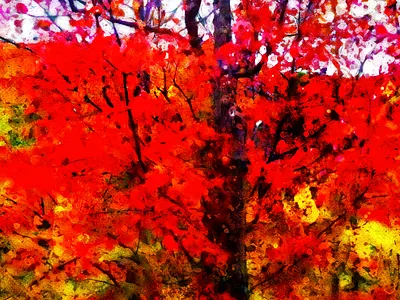 Un arbre qui nous réunis