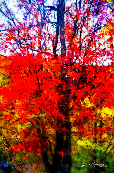 Un arbre qui nous réunis