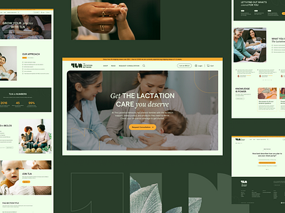 The Lactation Network - Website clean design healthcare ui web web design webdesign website