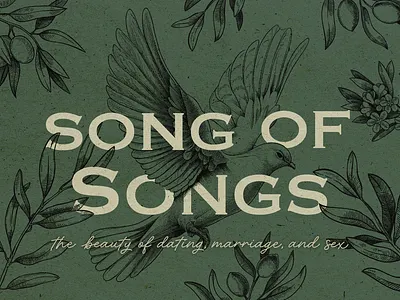 Song of Songs | Sermon Series art brand branding church design graphic design series sermon song of songs