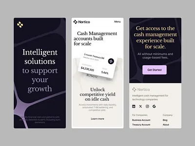 Nortico branding digital hero illustration inspiration mobile product ui uiux web