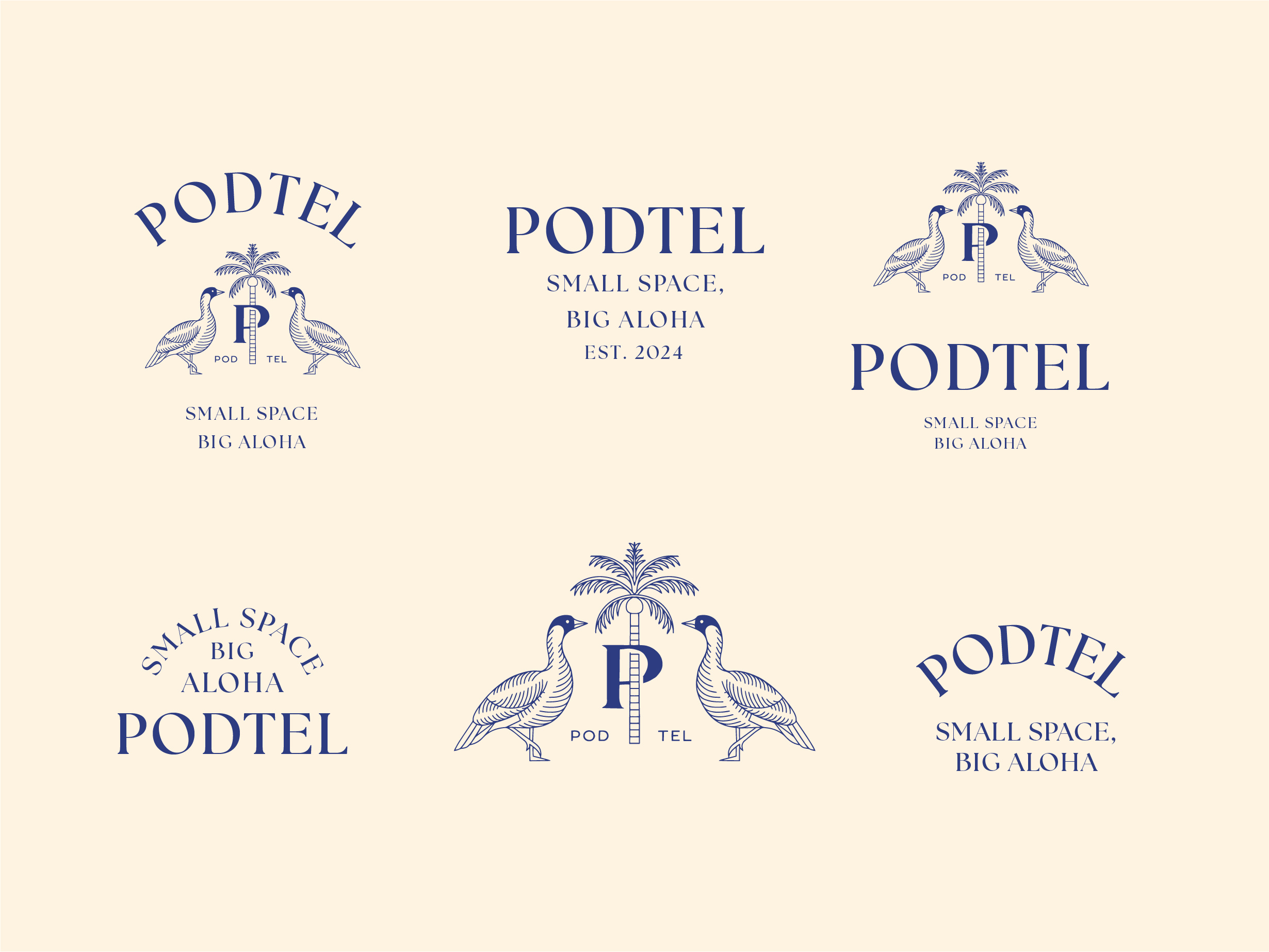 Example of Podtel: Branding Exploration (Unused)
