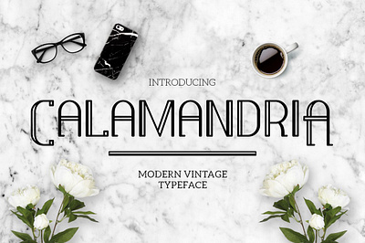 Calamandria art deco branding calamandria design display display font elegant font vintage illustration logo luxury modern sans serif typeface typeface deco vintage